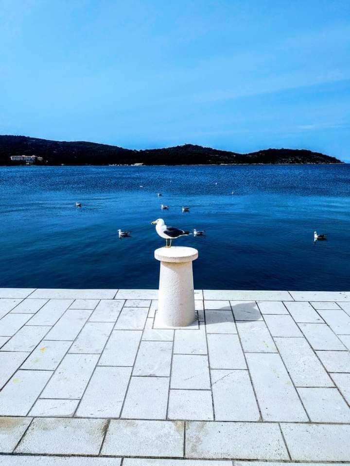 Apartman Karlo Rukavac  Luaran gambar